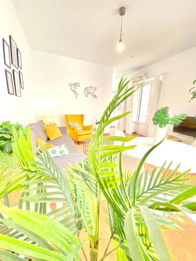 Comfortable Studio Old Town, Parking Optional 塞维利亚 外观 照片